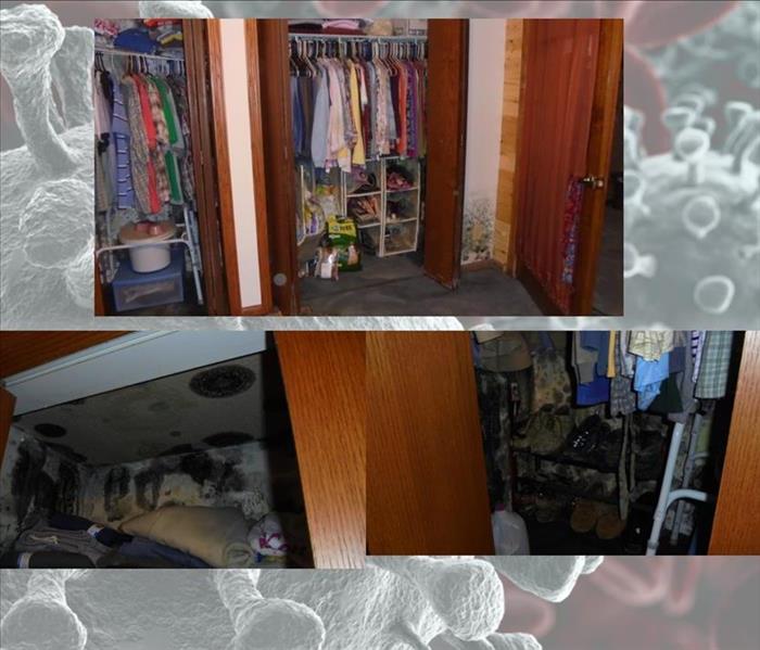 Mold in bedroom and closet plus belongings