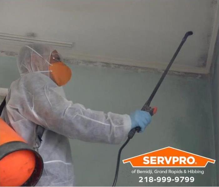 A technician uses an antifungal and antimicrobial treatment to eliminate mold colonies and prevent them from spreading.
