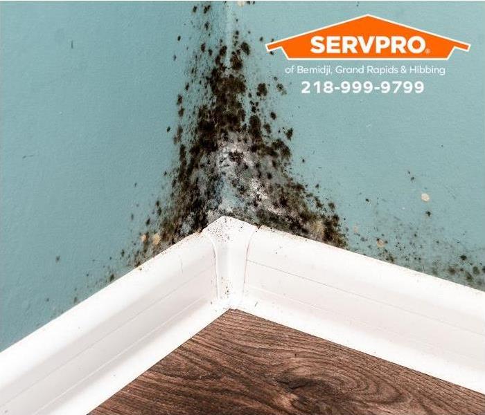 A mold outbreak is visible in a corner of a room.