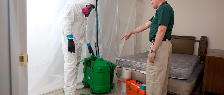 Grand Rapids, MN mold removal process